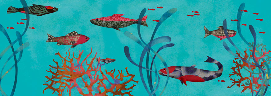 olga-olga illustrations poissons